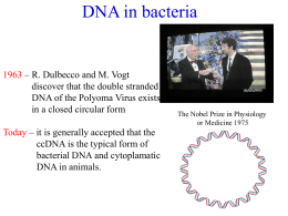 5.supercoiling_copia..