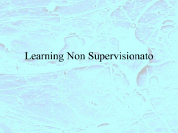Learning Non Supervisionato
