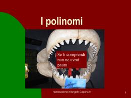 I polinomi