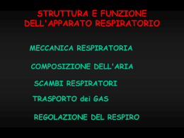 n° 6 - respiratorio (vnd.ms-powerpoint, it, 1263 KB, 12/19/02)
