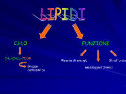 Lipidi - Atuttascuola