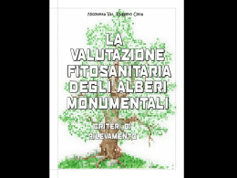 Una piccola anticipazione del volume