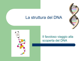 La struttura del DNA