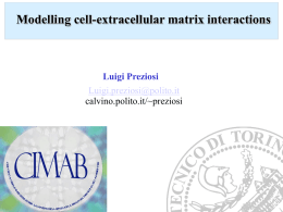 Modelling the interaction between cells and ECM