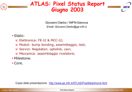 darbo_pixel_status_report