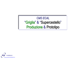 gargiulo_cms_ecal_meccanica