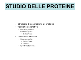 studio delle proteine