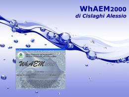WhAEM2000 - Dipartimento di Elettronica ed informazione