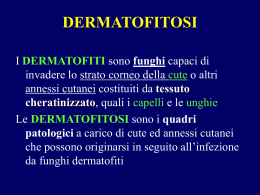 dermatofiti
