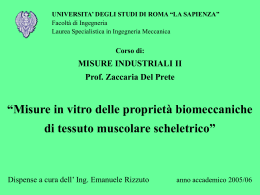 Tessuto muscolare scheletrico
