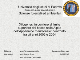 Altro - Università degli Studi di Padova