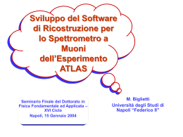 M. Biglietti - “E. De Giorgi” – Università del Salento