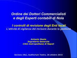 saviano meola controlli di revisione 26.10.15