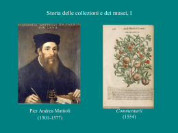 Museologia sci.7
