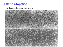 lezione_8