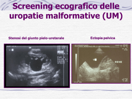 Screening ecografico delle uropatie malformative