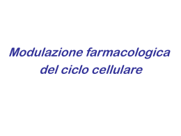 ciclo cellulare - Università dell`Insubria