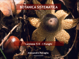 Eumycota - Classe delle Lauree in Scienze Biologiche