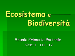 Ecosistema e Biodiversità