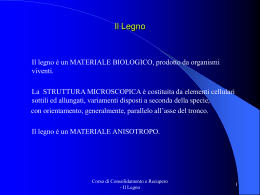 Il Legno1