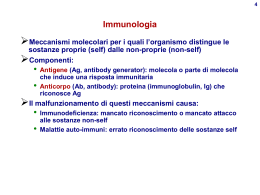 Immunoglobuline