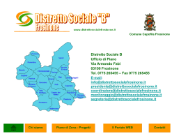 Il Portale WEB - Distretto Sociale "B"