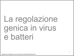 regolazione genica in virus e batteri