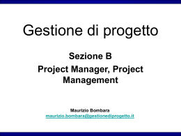 project manager