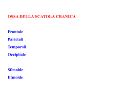 4. Ossa Scatola cranica e massiccio facciale