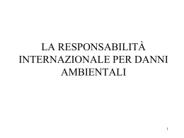 responsabilità per danni ambientali 2013