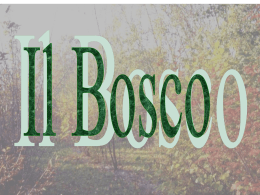 Il Bosco