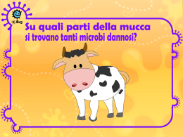 Presentazione delle attivit&agrave; della fattoria