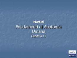 Martini &ndash; Fondamenti di Anatomia Umana