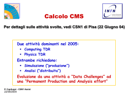 capiluppi_calcolo_lhc_cms