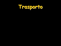 05a_Trasporto