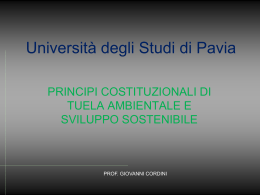 Il principio dello &ldquo;Sviluppo sostenibile&rdquo;