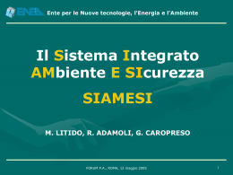 Ente per le Nuove tecnologie, l`Energia e l`Ambiente SIAMESI