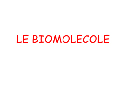 LE BIOMOLECOLE