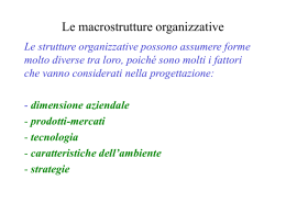 Lezione 25 Aspetti strutturali del sistema organizzativo