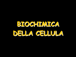 03_Biochimica_delle_cellule