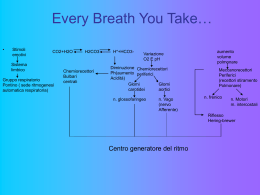 apparato respiratorio e sistema nervoso