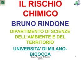 IL RISCHIO CHIMICO BRUNO RINDONE