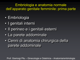 Nessun titolo diapositiva