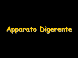 014_Apparato_Digerente