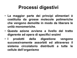 Processi digestivi