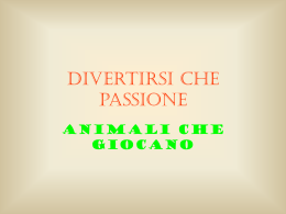 Diapositiva 1