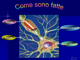 Come sono fatte