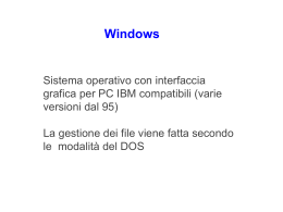 LEZ08windows