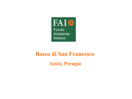 Bosco di San Francesco Assisi, Perugia
