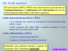 Acidi Nucleici